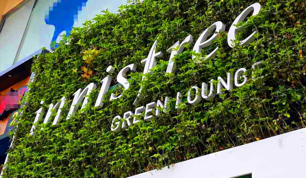 자연을 담아 일상을 채운다: 이니스프리의 조용한 침투 전략